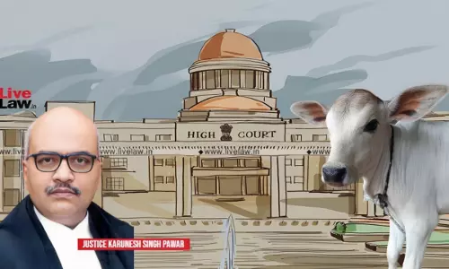 UP ‘Cow Slaughter’ Act | Vehicle Transporting Cow, Its Progeny Within UP Can’t Be Seized Or Confiscated: Allahabad High Court