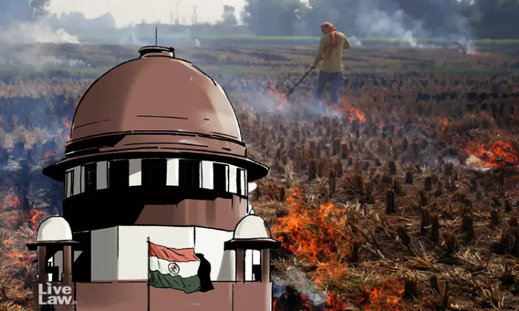 Carrot-And-Stick Policy | Stubble Burning Carrot-And-Stick Policy | Stubble Burning