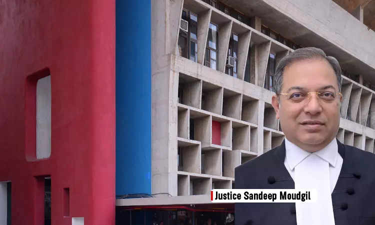 Punjab & Haryana HC Addresses Concerns Over Shops Facilitating Marriage Of Runaway Couples | Emphasizes The Sanctity Of Marriage Punjab & Haryana HC Addresses Concerns Over Shops Facilitating Marriage Of Runaway Couples | Emphasizes The Sanctity Of Marriage