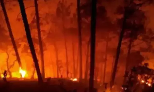 Forest Fire In Morni Hills | Punjab & Haryana High Court Asks Govt To Submit Details Of Steps Initiated To Control Fire