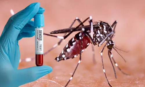 Karnataka High Court Takes Suo Moto Cognizance Of Rising Dengue Cases In Bengaluru, Rural Areas Karnataka High Court Takes Suo Moto Cognizance Of Rising Dengue Cases In Bengaluru, Rural Areas