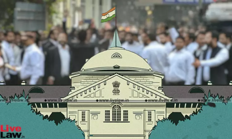 Undermines Judicial System, Harshest Penalty Required: Allahabad HC Deprecates Trend Of Prosecuting Agencies Targeting Lawyers Undermines Judicial System, Harshest Penalty Required: Allahabad HC Deprecates Trend Of Prosecuting Agencies Targeting Lawyers