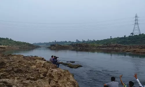 MP High Court Calls For States Report On Plea Challenging Construction Of Bridge At UNESCO Geo-Heritage Site Known For Dinosaur Fossils