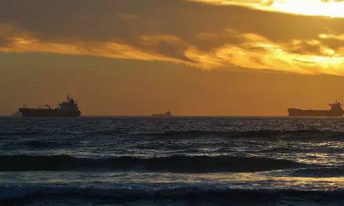 Gujarat HC Directs Arrest Of Cargo Ship At Kandla After Company Exporting Parboiled Rice Claims $1.4 Million Loss Due To Delay In Shipping