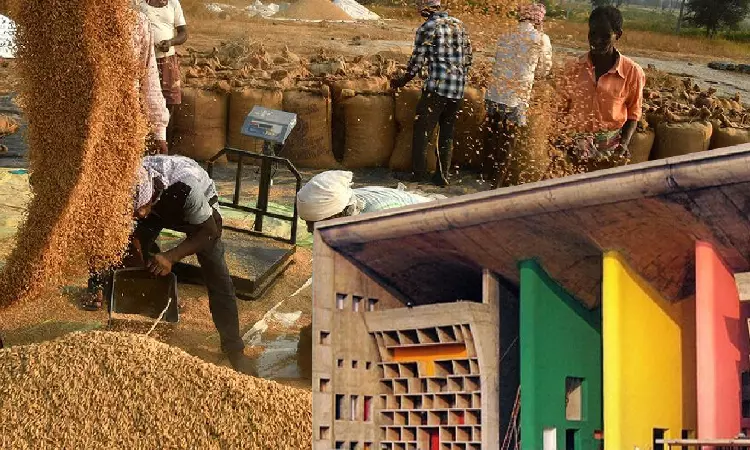 High Court Seeks Status Report From Punjab Govt, FCI On Plea To Lift Last Seasons Paddy To Create Space For 2024 Seasons Crop Amid Farmers Protests High Court Seeks Status Report From Punjab Govt, FCI On Plea To Lift Last Seasons Paddy To Create Space For 2024 Seasons Crop Amid Farmers Protests