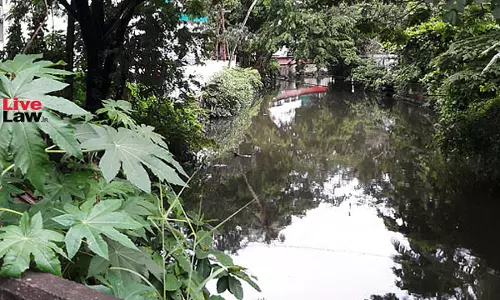 Few Battles Won But Cant Rest Yet: Kerala High Court Directs District Collectors Committee To Oversee Canal & Drainage System In Kochi