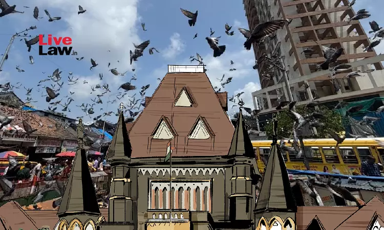 Nothing More Vital Than Human Health: Bombay HC Notes Adverse Effects Of Pigeon Droppings; Stay On Demolition Of Kabutarkhanas To Continue Nothing More Vital Than Human Health: Bombay HC Notes Adverse Effects Of Pigeon Droppings; Stay On Demolition Of Kabutarkhanas To Continue