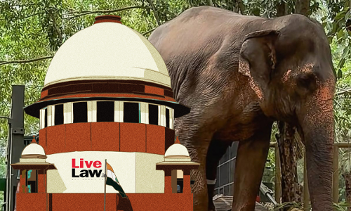 Supreme Court To Hear Plea Against Shifting Of Kolhapur Temple Elephant Mahadevi To Vantara Supreme Court To Hear Plea Against Shifting Of Kolhapur Temple Elephant Mahadevi To Vantara