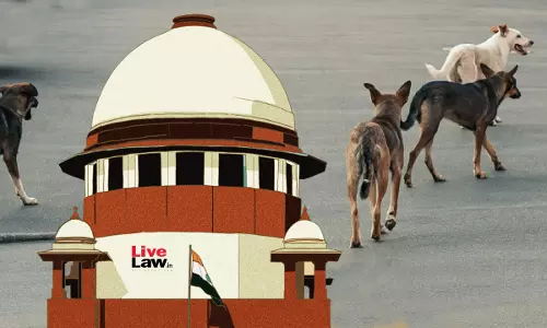 Delhi Stray Dog Matter Shifted To 3-Judge Bench Of Supreme Court; Hearing Tomorrow Delhi Stray Dog Matter Shifted To 3-Judge Bench Of Supreme Court; Hearing Tomorrow