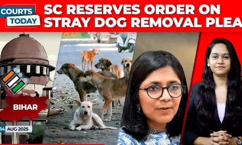 Delhi Stray Dogs | Bihar SIR | J&K Statehood Restoration | Swati Maliwal | Renukaswamy Murder Case Delhi Stray Dogs | Bihar SIR | J&K Statehood Restoration | Swati Maliwal | Renukaswamy Murder Case