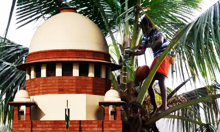 Supreme Court Strikes Down 2007 Kerala Govt Order Capping Coconut Toddy Alcohol Content At 8.1% v/v Supreme Court Strikes Down 2007 Kerala Govt Order Capping Coconut Toddy Alcohol Content At 8.1% v/v