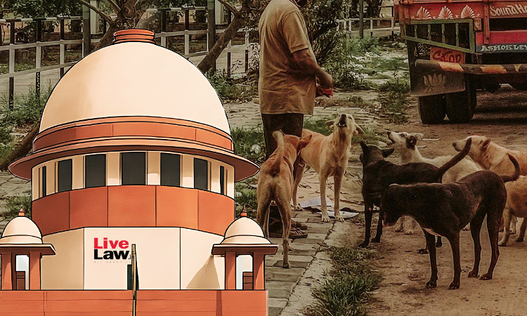 Stray Dog Case | Continuous Incidents Are Happening, Countrys Global Image Affected : Supreme Court Stray Dog Case | Continuous Incidents Are Happening, Countrys Global Image Affected : Supreme Court