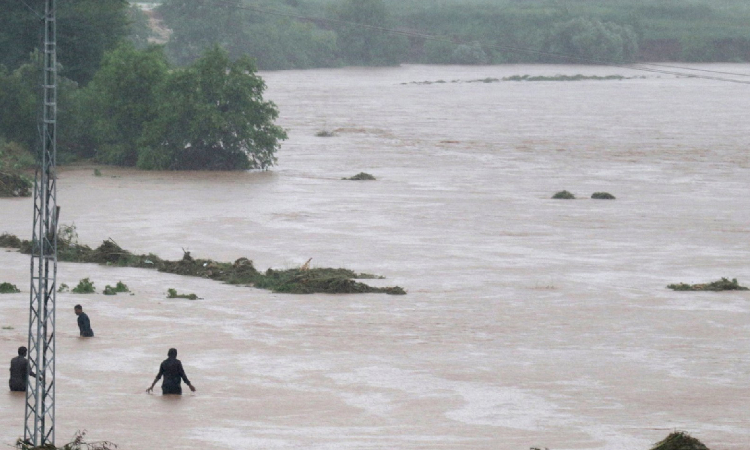Punjab Floods | High Court Asks State Govt To Decide On Compensation For Farmers Who Suffered Less Than 25% Crop Loss Punjab Floods | High Court Asks State Govt To Decide On Compensation For Farmers Who Suffered Less Than 25% Crop Loss