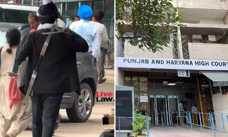 Lawyer Who Brandished Sword In High Court Premises Gets Bail From Chandigarh Court Lawyer Who Brandished Sword In High Court Premises Gets Bail From Chandigarh Court