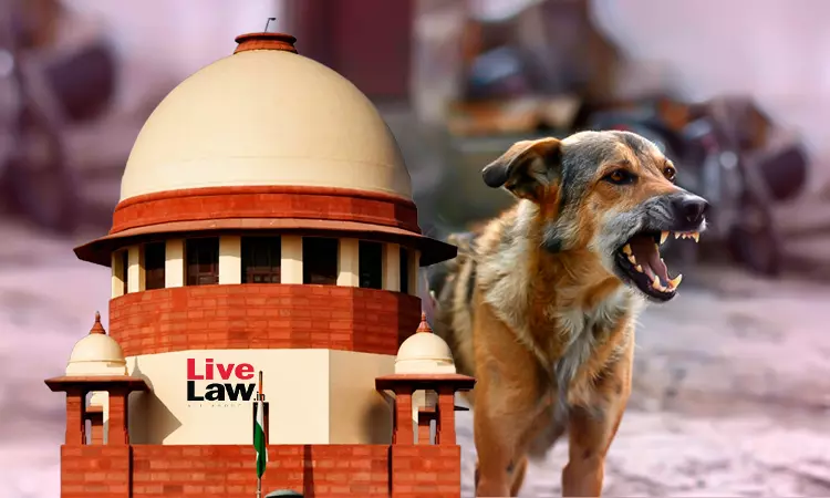 Persistence Of Stray Dogs Imperils Public Safety : Supreme Court Flags Dog Bite Menace, Says Children & Poor Worst Affected