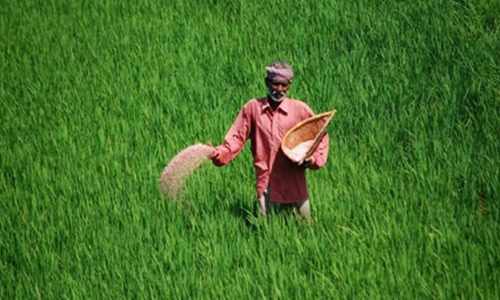 Give Wide Publicity To Crop Insurance Scheme Under PMFBY For Farmers Benefit : Karnataka High Court Give Wide Publicity To Crop Insurance Scheme Under PMFBY For Farmers Benefit : Karnataka High Court