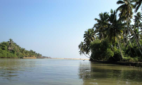 Humans Dictate Animals Rights, Occupy Every Inch Of Space They Have: Kerala High Court Laments Rising Man-Animal Conflicts