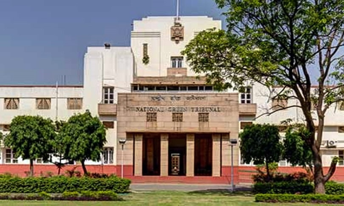 Prima Facie We Are Of The View That NGT Cannot Strike Down Law, Observes Supreme Court Prima Facie We Are Of The View That NGT Cannot Strike Down Law, Observes Supreme Court