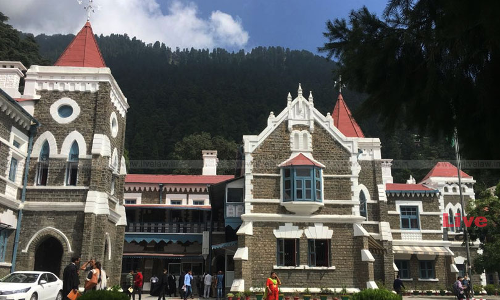 Uttarakhand High Court Stays Proposal To Cut 2,057 Trees To Widen Sahastradhara Road Uttarakhand High Court Stays Proposal To Cut 2,057 Trees To Widen Sahastradhara Road