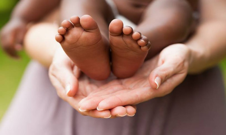 Why Is CARA Delaying Adoption Process? Supreme Court Calls For Prompt Action To Benefit Waiting Children & Couples Why Is CARA Delaying Adoption Process? Supreme Court Calls For Prompt Action To Benefit Waiting Children & Couples