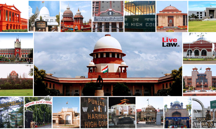 Women In Judiciary Women In Judiciary