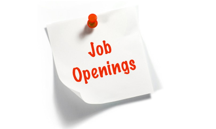 Assistant Manager Vacancy At Repco Bank Assistant Manager Vacancy At Repco Bank