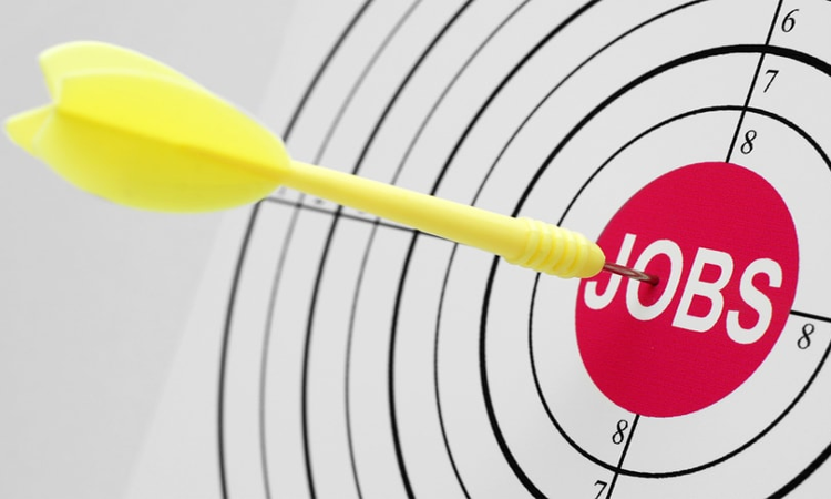 Lawyers And Researchers Vacancy At HRLN Lawyers And Researchers Vacancy At HRLN