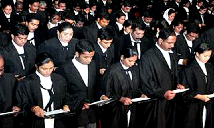Court Should Not Interfere With State Bar Councils Timeline For Enrolment Of Advocates: Kerala High Court Court Should Not Interfere With State Bar Councils Timeline For Enrolment Of Advocates: Kerala High Court