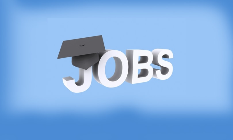 Case Worker Vacancy At Sakhi One Stop Centre, District Fazilka, Punjab Case Worker Vacancy At Sakhi One Stop Centre, District Fazilka, Punjab