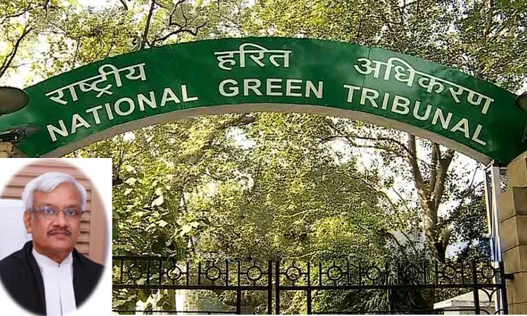 Registrar Vacancy At National Green Tribunal Registrar Vacancy At National Green Tribunal