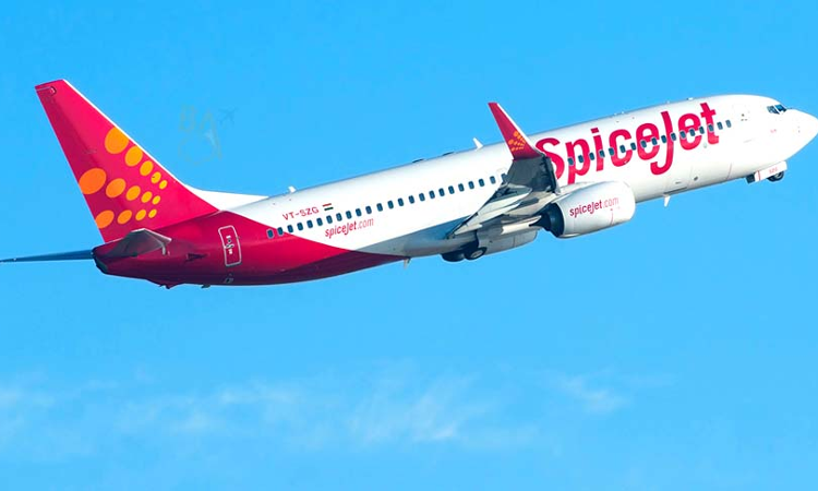 Madras High Court Orders Winding Up Of SpiceJet Ltd, Official Liquidator To Take Over The Company Assets Madras High Court Orders Winding Up Of SpiceJet Ltd, Official Liquidator To Take Over The Company Assets